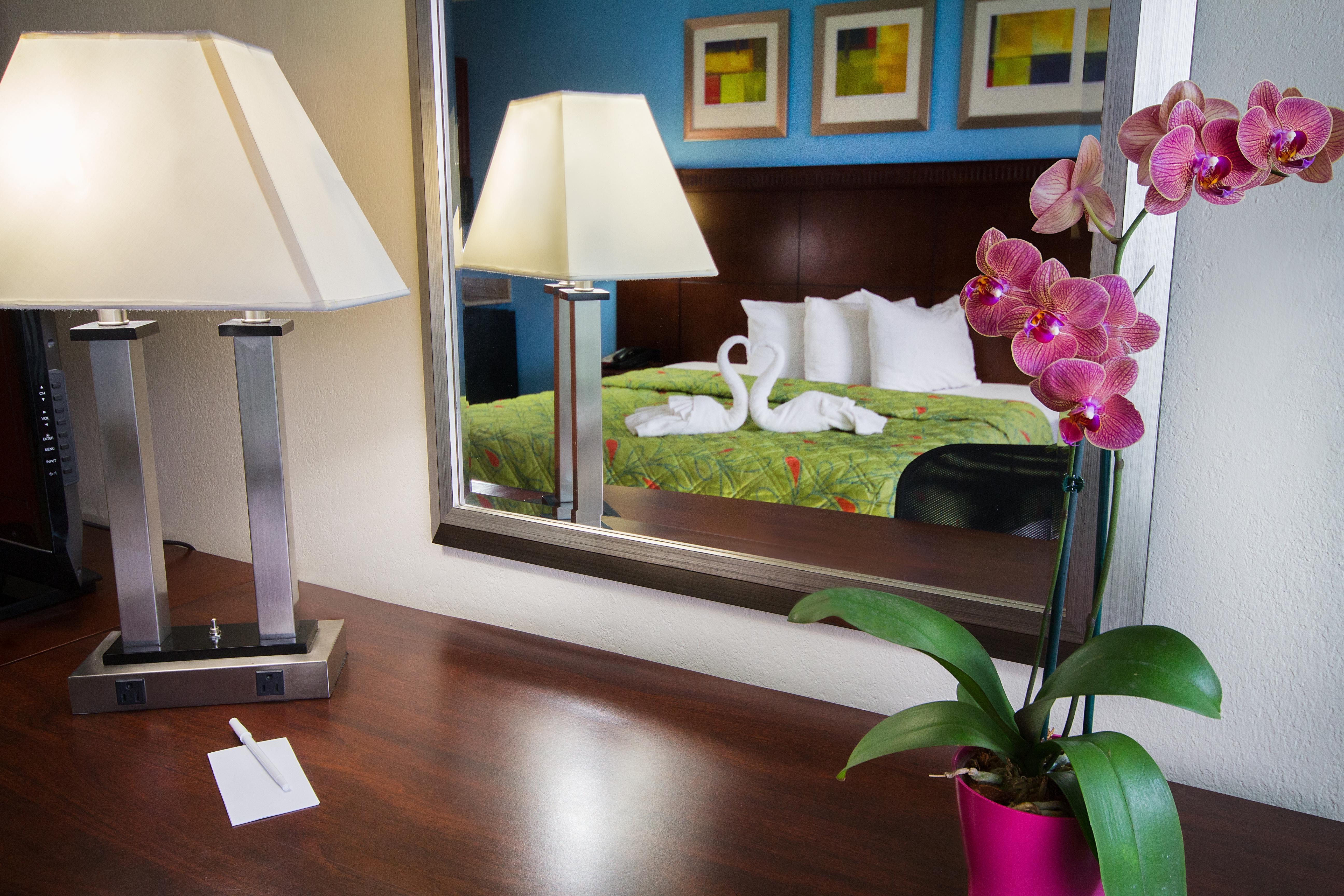 Отель Ramada By Wyndham Flamingo Water Park Киссимми Экстерьер фото